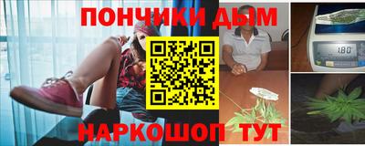 шишки Конаково