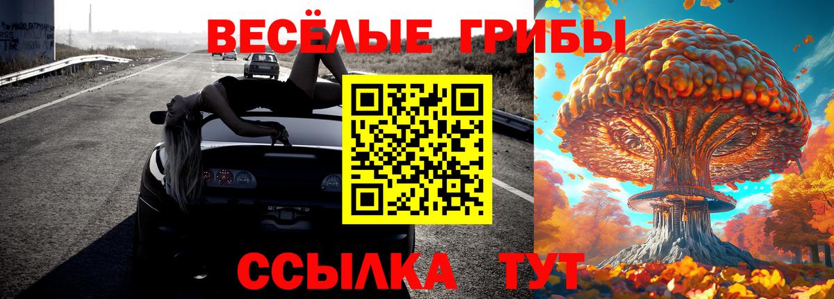 Псилоцибиновые грибы Psilocybine cubensis Кстово